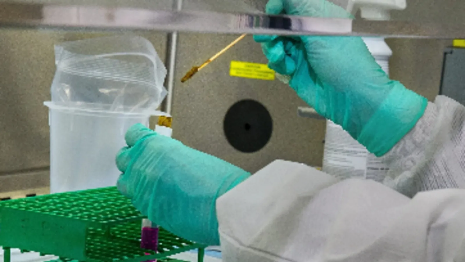 Técnico de laboratorio con guantes manipulando viales y muestras agronómicas en una rejilla de tubos