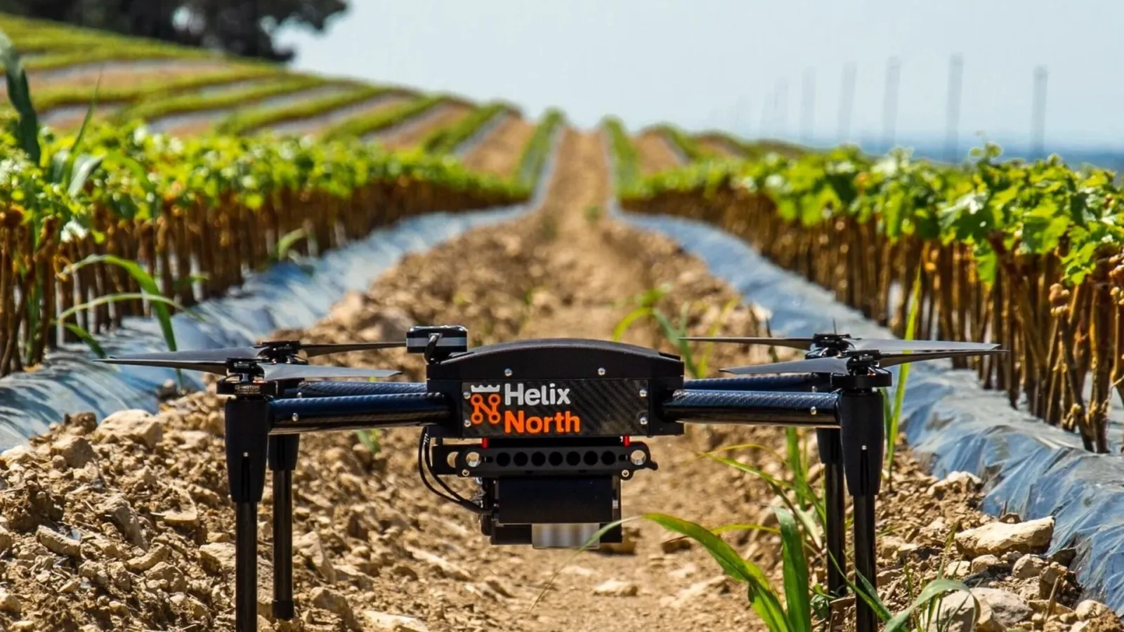Dron agrícola sobrevolando hileras de viñedo en un campo soleado, ejemplo de agricultura de precisión con UAV