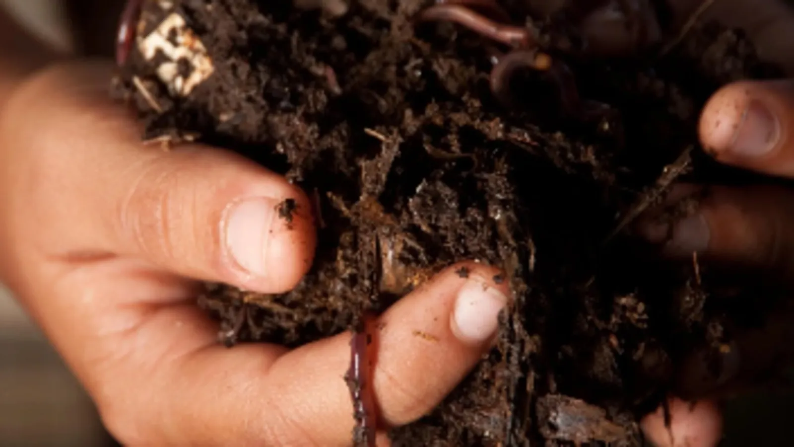Manos sosteniendo un puñado de tierra oscura rica en materia orgánica con lombrices visibles