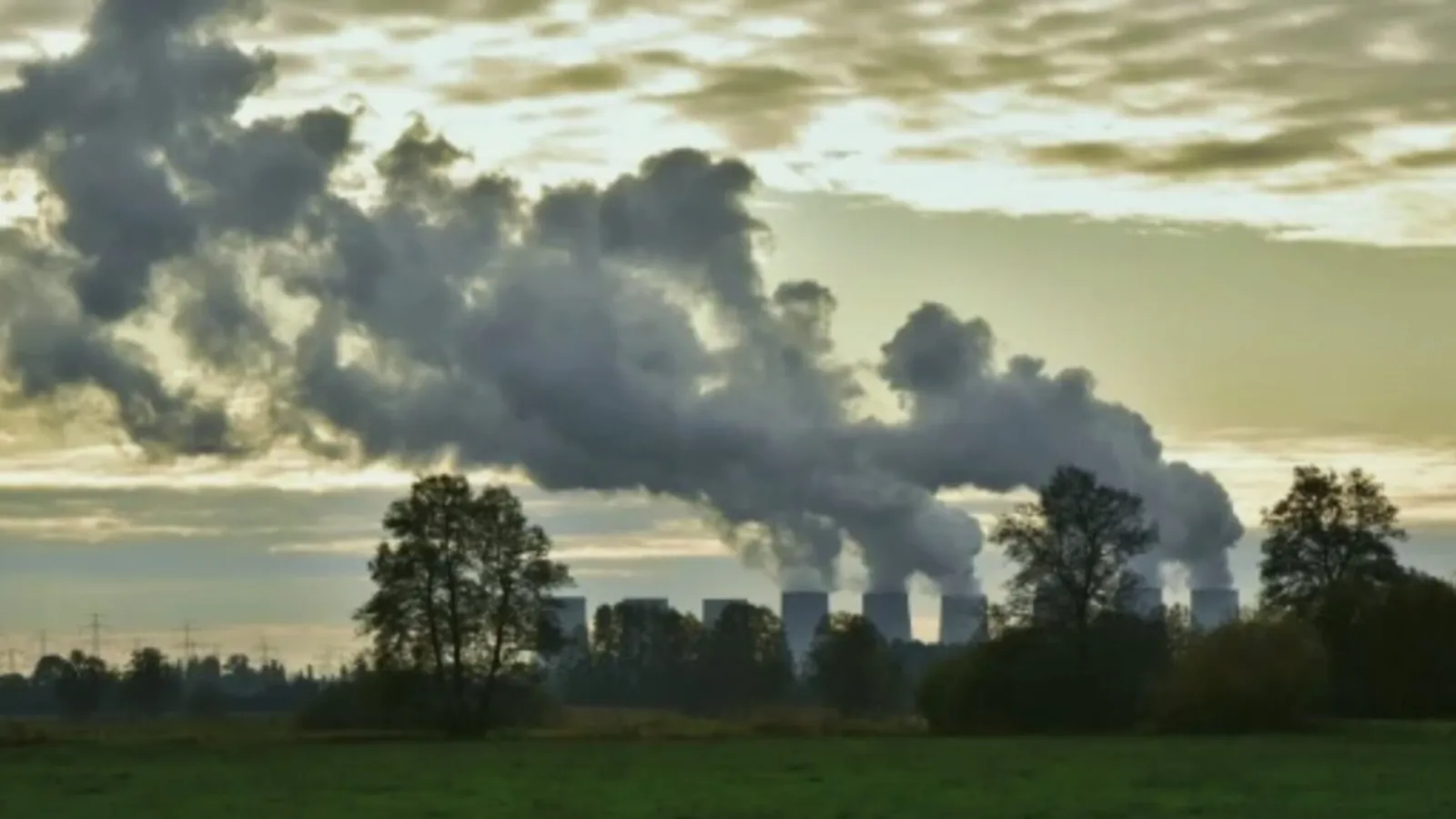 Torres de refrigeración industriales emitiendo grandes columnas de vapor al amanecer, con un campo verde en primer plano