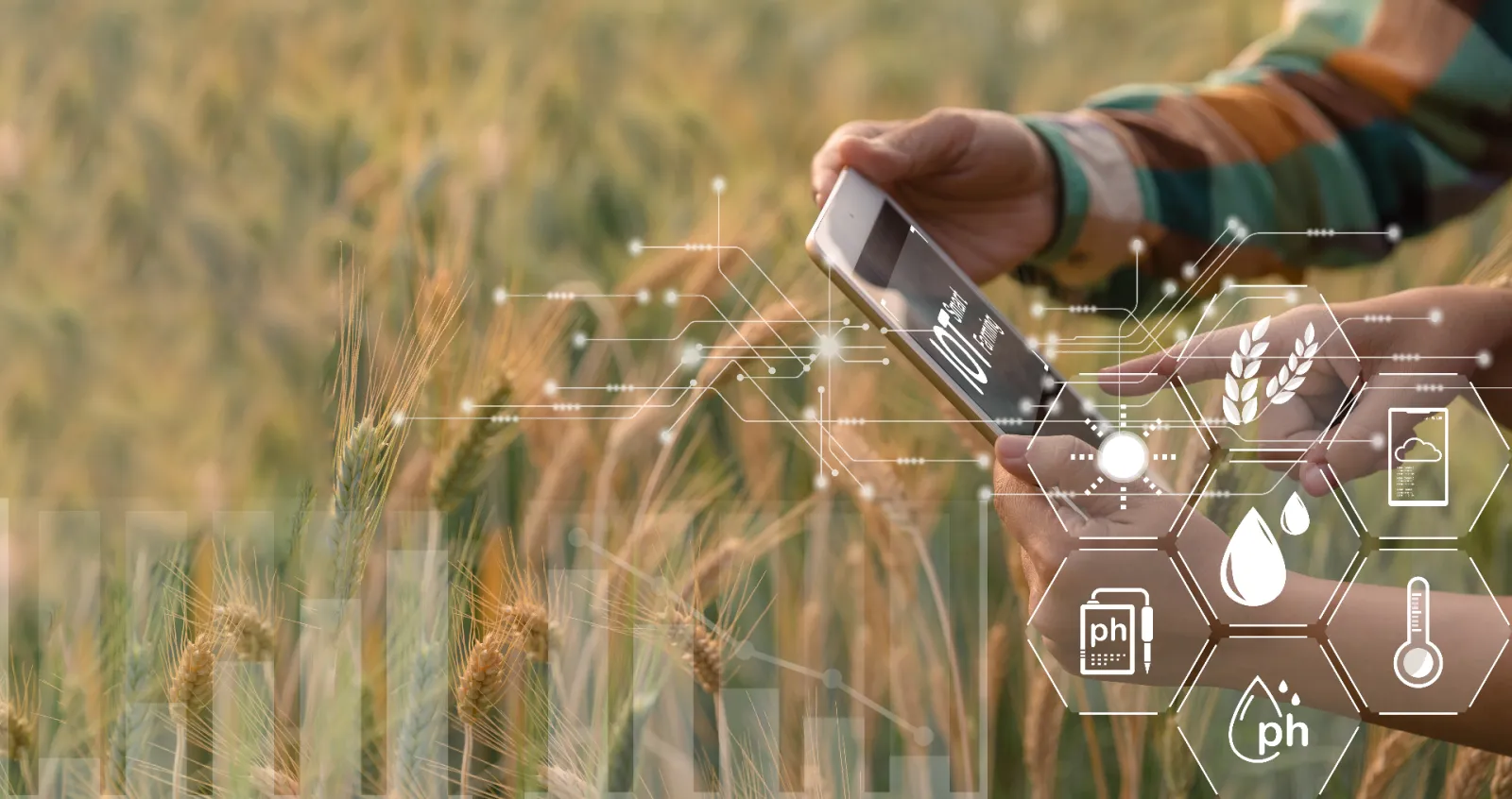 Profesional revisando datos agronómicos en una tablet en el campo